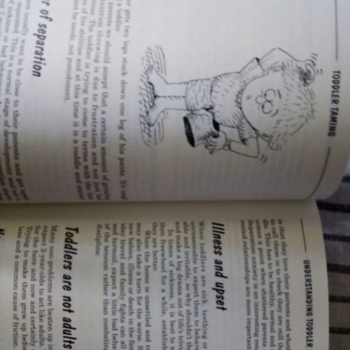 Toddler Taming book like new, English language