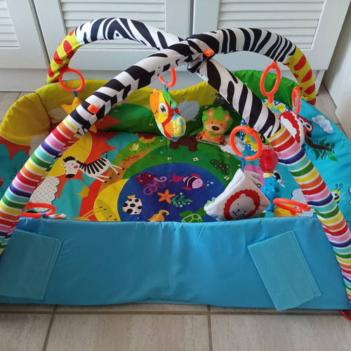 Lionelo Anika Baby Gym and Activity Mat like new with Accessories