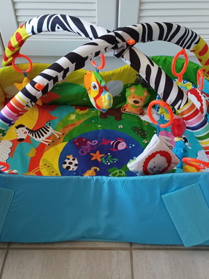 Lionelo Anika Baby Gym and Activity Mat like new with Accessories