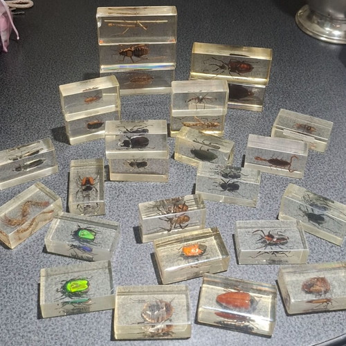 Insect and Arthropod Collection like new, 27 pieces in resin