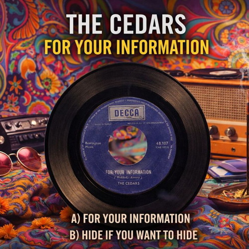 The Cedars For Your Information vinyl single used, rock