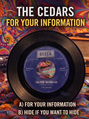 The Cedars For Your Information винилов сингъл употребяван, рок