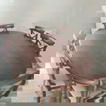  Σετ τραπεζαρίας τριανταφυλλια μασιφ