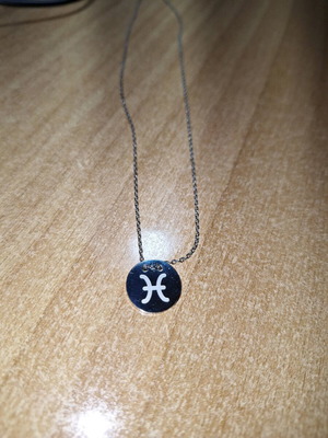 Stainless steel necklace with Pisces zodiac symbol like new, silver