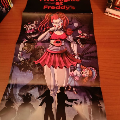 Fnaf Collection books like new with poster in English