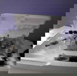  Μικροσκόπιο microscope ΟΛΟΚΑΊΝΟΥΡΙΟ του κουτιού.