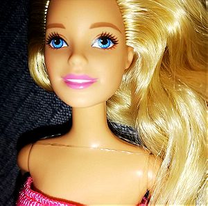 Barbie Sisters Fun Day Barbie Doll 2014