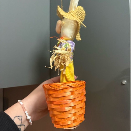 Easter Decorative Bunny like new with basket and egg