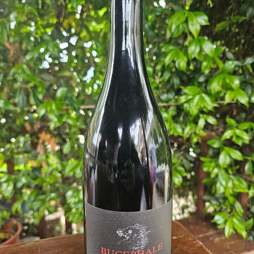 Bucephale wine new, naturally vinified Xinomavro