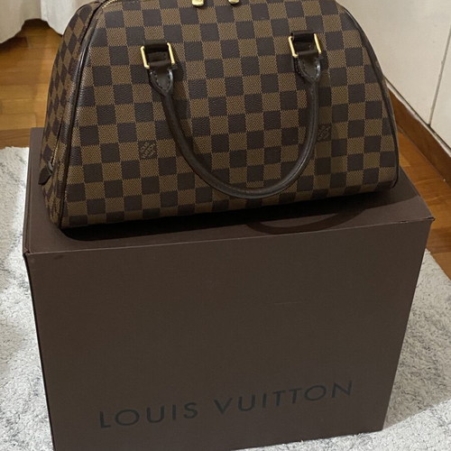Louis Vuitton Damier Ebene Ribera MM handbag, brown