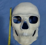 Skull used, thick plastic