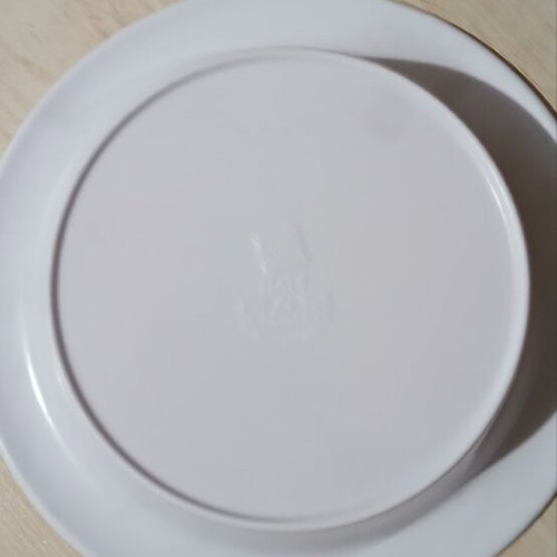 Looney Tunes plastic plate vintage 1999 used