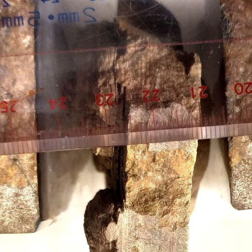 Silicified Hemispherical Stromatolite from Brazil, Precambrian