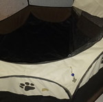 Dog nest lightly used