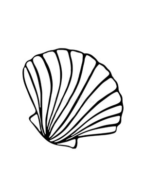 Ready painting shell on canvas