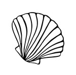 Ready painting shell on canvas