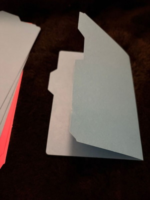 DIY Police File Style Folder Set of 9 like new, blue and pink