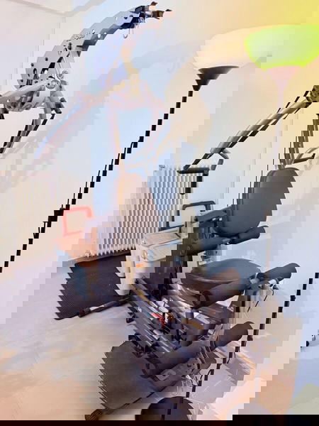Όργανο Γυμναστικής Inspire BL1