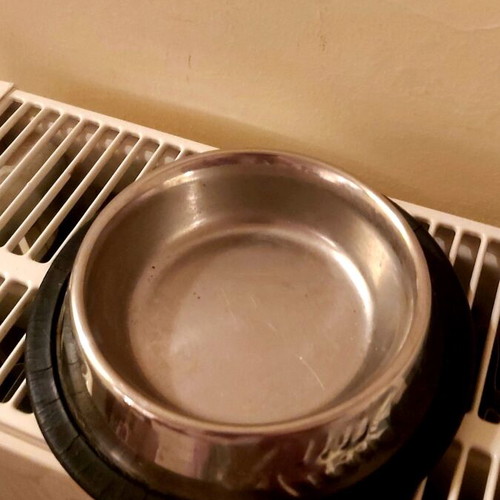 Small pet bowl used, stainless steel with non-slip base