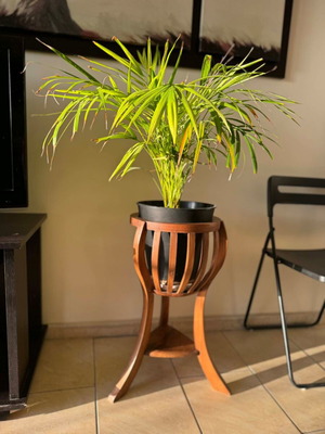 Ξύλινη ανθοστήλη teak μεταχειρισμένη με σχεδιασμό καλάθι