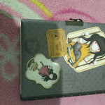 Santoro diary new