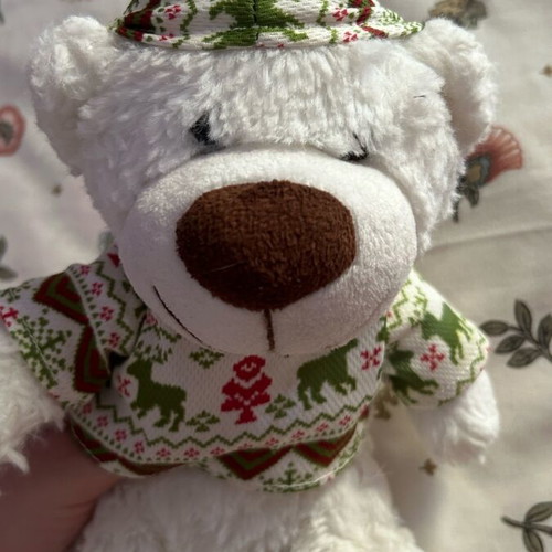 Suki stuffed bear with removable hood like new