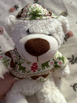 Suki stuffed bear with removable hood like new
