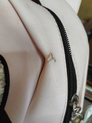 Minnie Mouse children's backpack used