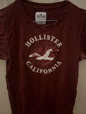 Hollister t-shirt