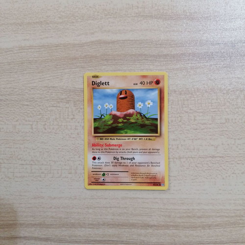 Pokémon Diglett Evolutions 2016 card new