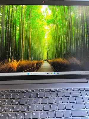 Lenovo IdeaPad 3 15ABA7 15.6" IPS FHD laptop Ryzen 5 5625U 8GB 256GB SSD Windows 11 Arctic Grey