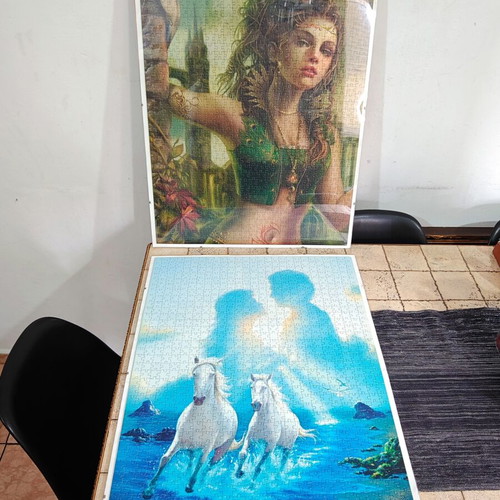 Puzzle set of 2 framed 1000-piece puzzles by Heye, like new