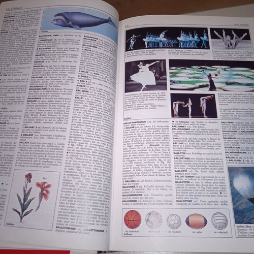 Le Petit Larousse Illustre 1994 French-French Dictionary used