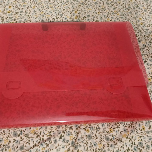 Plastic Document Case with Handle, Red, Like New