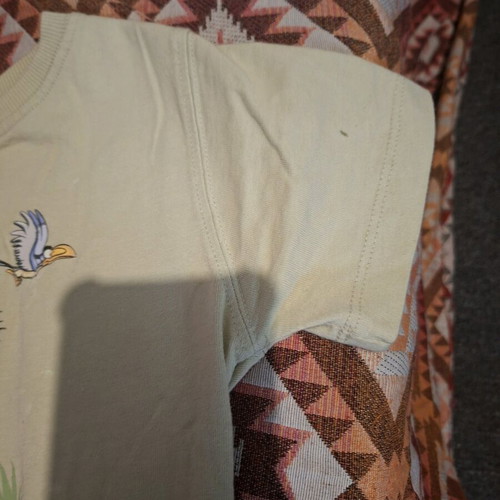 Zara bermuda shorts and shirt like new