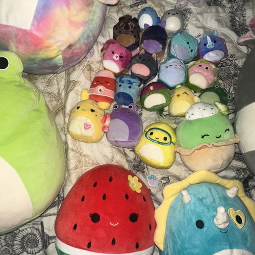 Squishmallows large plush collection