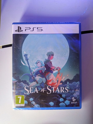 Sea of Stars PS5 game