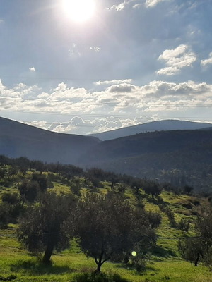 Εξαιρετικό παρθένο ελαιόλαδο Αθικίων Κορινθίας καινούργιο, 5 λίτρα
