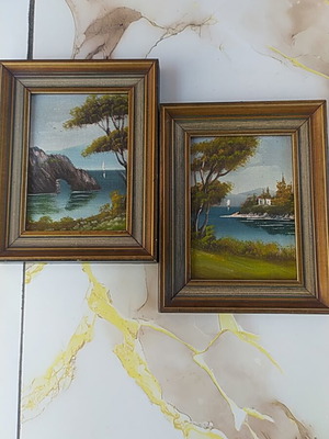 Set of two small framed paintings