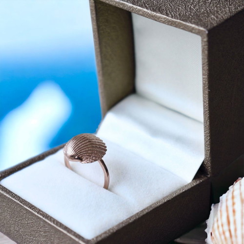 Shell Ring New Silver 925 Available In Three Colors