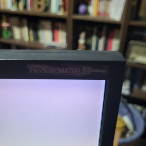 Eizo Flexscan 17-inch monitor used, excellent condition