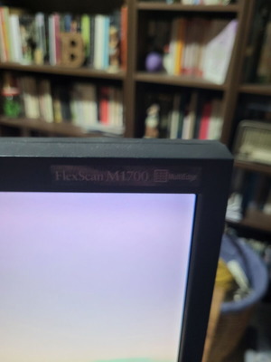 Eizo Flexscan 17-inch monitor used, excellent condition