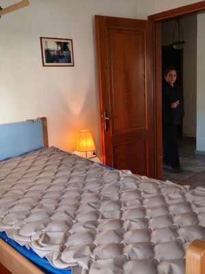 Electric bed with air mattress like new