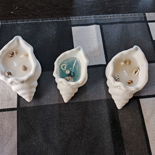 Decorative Plaster Seashells Set of 3 New