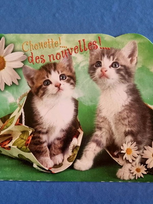 Postcard greeting card cute like new, 1989