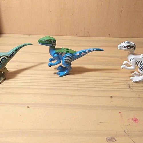 Raptors used 3rd generation in very good condition
