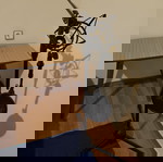  Πλήρης Εξοπλισμός Home Studio