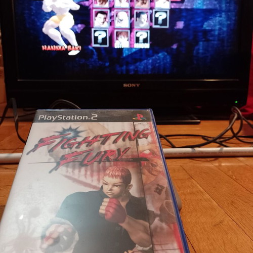 Fighting Fury PlayStation 2 used, complete in good condition