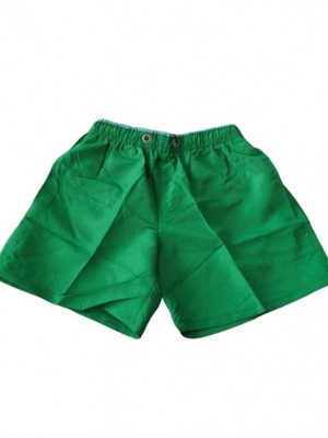 Boys' swim shorts green new with adjustable cord