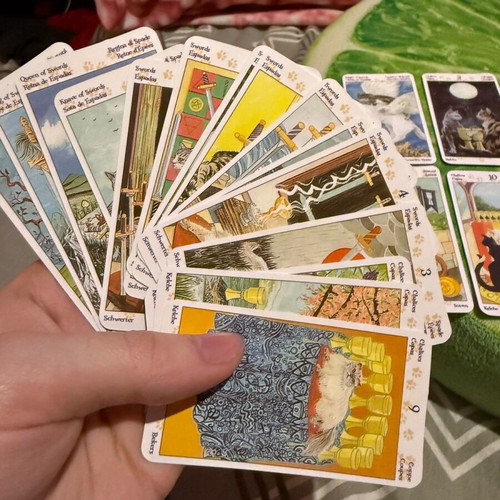 Tarot of Pagan Cats deck like new
